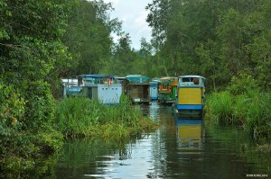Trans Borneo Expedition 2014     